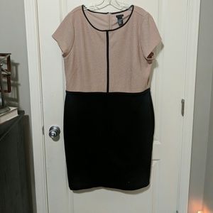 Ann taylor business dress